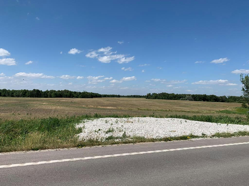 TRACT 16 HIGHWAY 24, MADISON, MO 65263, photo 1 of 2